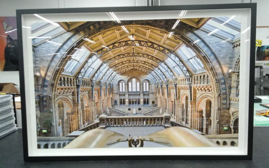 Illustrated Framing Guide for Your Convenience