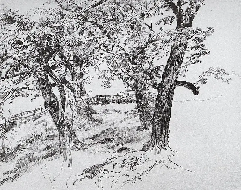 A pencil drawing of trees
