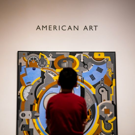 A boy looking at a painting in the Dallas Museum of Art